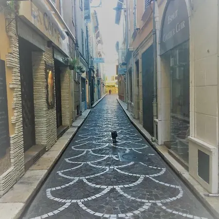Cosy And Comfortable 1 Bedroom In The Old Town Αντίμπ